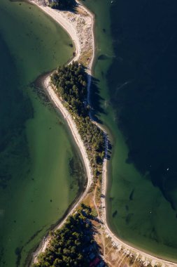 Sandy Beach Thormanby Adası