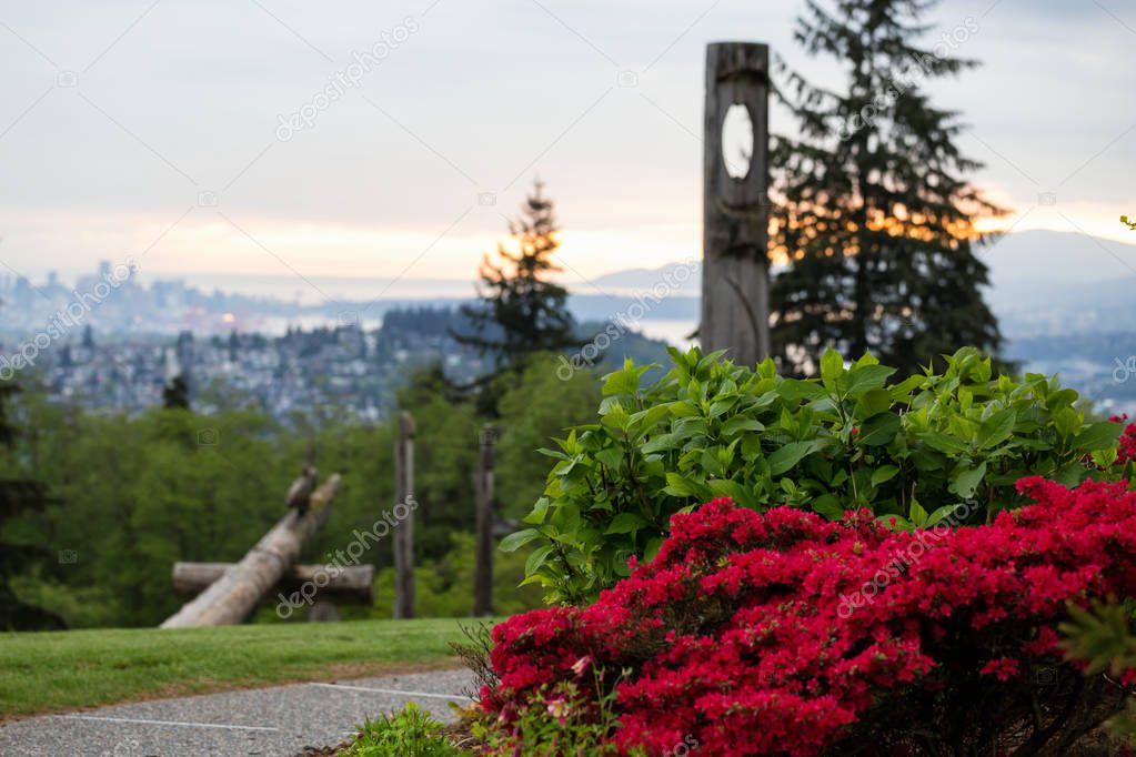 Flowers and Plants in Burnaby Mountain Park, with Downtown Vancouver, BC, Canada, in the background.