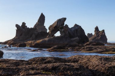 doğal manzara okyanus sahilinde