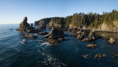 Shi Shi Beach