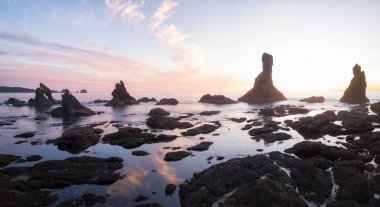 Gemi enkazı sahilde