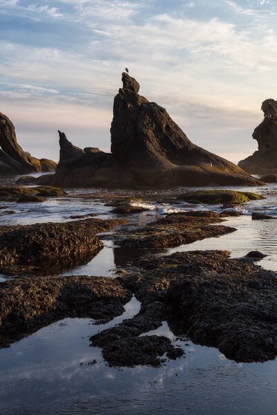 scenic landscape at the Ocean Coast