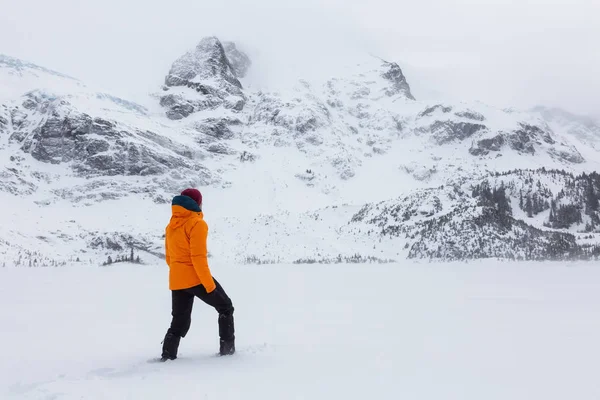 Lago Joffre —  Fotos de Stock