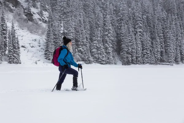 Mulher Aventura Snowshoeing Bela Paisagem Coberta Neve Canadense Tempo Inverno — Fotografia de Stock