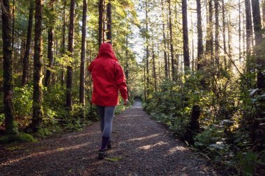Girl wearing a bright red jacket is walking the the beautiful woods during a vibrant winter morning. Taken in Ucluelet, Vancouver Island, BC, Canada. clipart