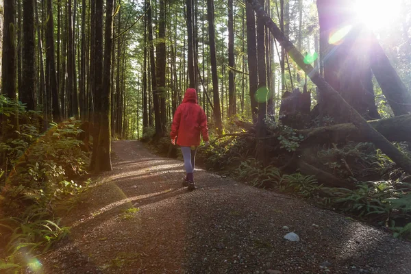 Girl Wearing Bright Red Jacket Walking Beautiful Woods Vibrant Winter — Stock Photo, Image