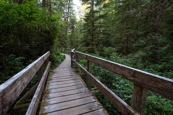 Belo Caminho Madeira Através Floresta Tropical Vibrante Verde Localizada Perto — Fotografia de Stock