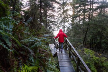 Parlak kırmızı ceket giyen kız dolaşıyor güzel ormanın bir canlı kış sabahı sırasında. Alınan Ucluelet, Vancouver Adası, Bc, Kanada.