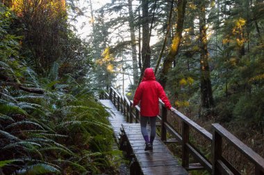 Parlak kırmızı ceket giyen kız dolaşıyor güzel ormanın bir canlı kış sabahı sırasında. Alınan Ucluelet, Vancouver Adası, Bc, Kanada.