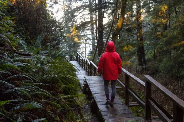 Lány Fényes Piros Kabátot Visel Sétál Gyönyörű Erdőben Közben Egy — Stock Fotó