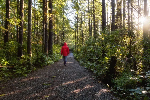 Parlak Kırmızı Ceket Giyen Kız Dolaşıyor Güzel Ormanın Bir Canlı — Stok fotoğraf