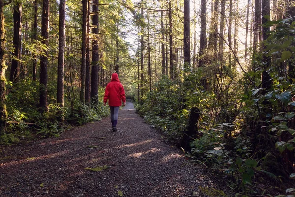 鮮やかな赤のジャケットを着ている少女が歩いている 活気のある冬の朝の中に美しい森の中 ユキュレットにある バンクーバー島 ブリティッシュ コロンビア カナダでの撮影 — ストック写真