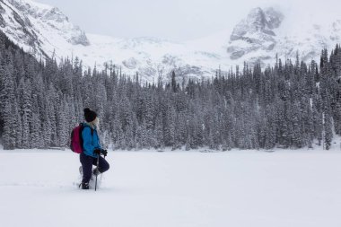Macera kadın güzel Kanada kar kaplı manzara içinde kış döneminde snowshoeing. Joffre Gölü, Vancouver, British Columbia, Kanada kuzeyindeki alınan.