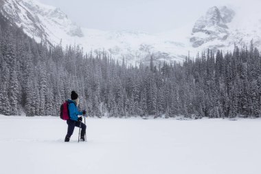 Macera kadın güzel Kanada kar kaplı manzara içinde kış döneminde snowshoeing. Joffre Gölü, Vancouver, British Columbia, Kanada kuzeyindeki alınan.