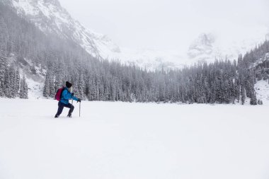 Macera kadın güzel Kanada kar kaplı manzara içinde kış döneminde snowshoeing. Joffre Gölü, Vancouver, British Columbia, Kanada kuzeyindeki alınan.