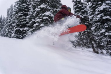 Erkek snowboard binme beyaz toz kar aşırı arazide. Whitewater kayak dağ, Nelson, British Columbia, Kanada içinde alınan.