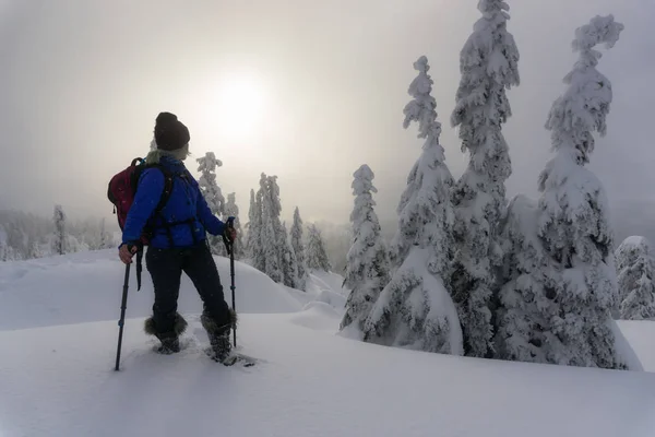 年轻的冒险白种女人雪地行走在积雪覆盖的群山中 拍摄于西摩山 北温哥华 不列颠哥伦比亚省 加拿大 — 图库照片