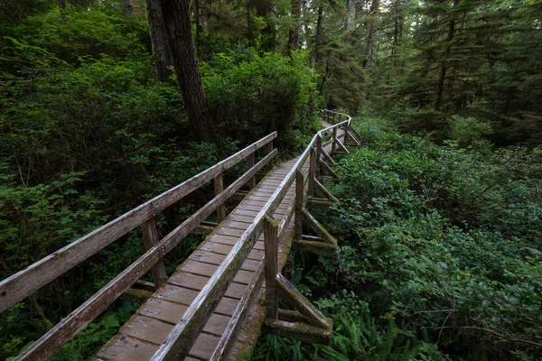 Gyönyörű Keresztül Tofino Vancouver Sziget Brit Columbia Kanada Közelében Található — Stock Fotó