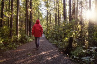 Girl wearing a bright red jacket is walking the the beautiful woods during a vibrant winter morning. Taken in Ucluelet, Vancouver Island, BC, Canada. clipart