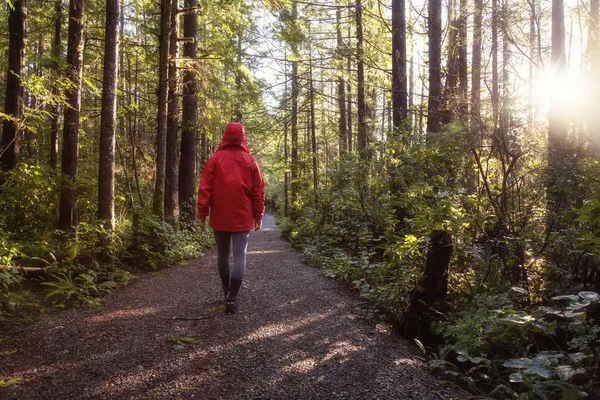 Parlak Kırmızı Ceket Giyen Kız Dolaşıyor Güzel Ormanın Bir Canlı — Stok fotoğraf