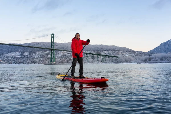 Uomo Avventuroso Una Tavola Paddle Standup Sta Imbottendo Vicino Lions — Foto Stock