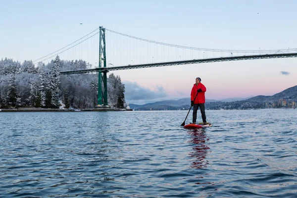 Homme Aventureux Sur Standup Paddle Board Est Rembourrage Près Lions — Photo