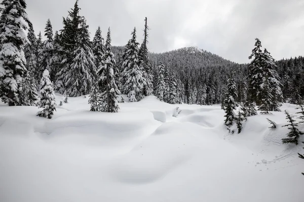 美しい雪では 曇りの日の間にカナダの山の風景を覆われました サイプレス山 バンクーバー ブリティッシュ コロンビア州 カナダで撮影 — ストック写真