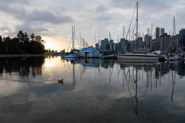 Segelboote Einem Yachthafen Während Eines Lebhaften Sonnenaufgangs Aufgenommen Stanley Park — Stockfoto