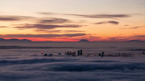 Time Lapse Footage Downtown City Covered Thick Layer Fog Vibrant — Stock Video