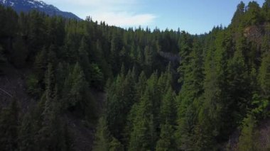 Vadide akan bir nehrin havadan görünümü. Brandywine Falls, Squamish ve Whistler, yakınındaki kuzey Vancouver, Bc, Kanada çekilmiş video.