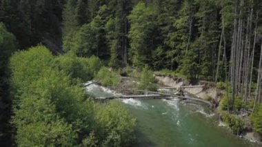 Vadide akan bir nehrin havadan görünümü. Brandywine Falls, Squamish ve Whistler, yakınındaki kuzey Vancouver, Bc, Kanada çekilmiş video.