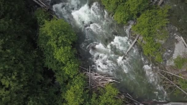 Letecký Pohled Řeka Údolí Videa Pořízená Brandywine Falls Poblíž Squamish — Stock video