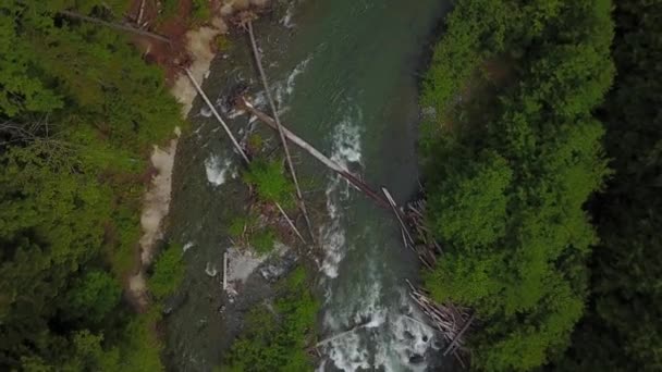 Aerial View River Flowing Valley Video Taken Brandywine Falls Squamish — Stock Video