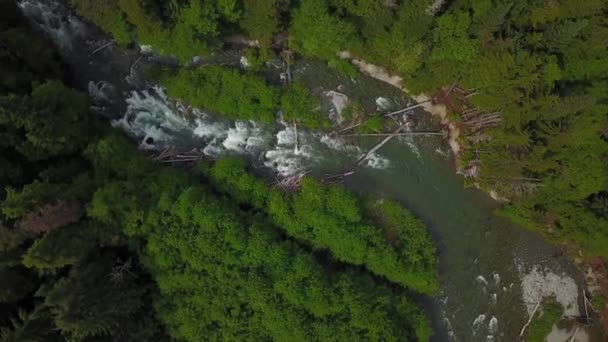 在山谷中流淌的河流的鸟瞰图 视频拍摄在烈酒瀑布附近的 Squamish 和惠斯勒 温哥华北部 不列颠哥伦比亚省 加拿大 — 图库视频影像
