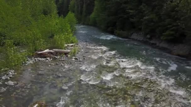 在山谷中流淌的河流的鸟瞰图 视频拍摄在烈酒瀑布附近的 Squamish 和惠斯勒 温哥华北部 不列颠哥伦比亚省 加拿大 — 图库视频影像