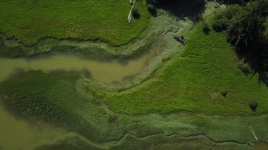 Pitt gölde Pitt Meadows, büyük Vancouver, British Columbia, Kanada hava görüntüleri. Bir bulutlu bahar sabahı sırasında alınan.