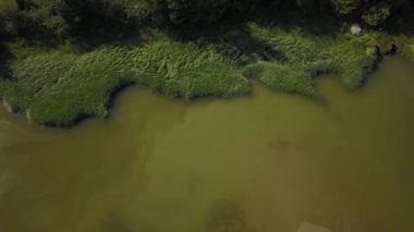Pitt gölde Pitt Meadows, büyük Vancouver, British Columbia, Kanada hava görüntüleri. Bir bulutlu bahar sabahı sırasında alınan.
