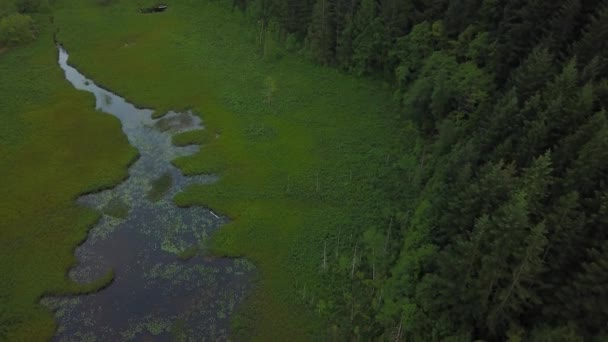 美丽的沼泽湖泊的性质 从空中的角度来看 Brohm 湖娱乐场 在惠斯勒和 Squamish 温哥华北部 不列颠哥伦比亚省 加拿大 — 图库视频影像