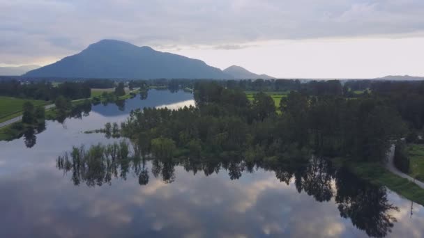 Aerial Naturskön Utsikt Över Sjön Sumpig Med Träd Och Färgglada — Stockvideo