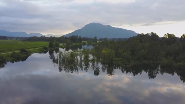 Hermosa Vista Aérea Naturaleza Del Lago Pantanoso Con Árboles Reflejo — Vídeos de Stock