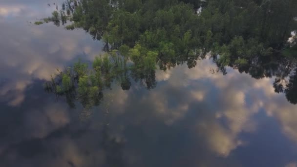 Bela Vista Aérea Natureza Lago Pantanoso Com Árvores Reflexo Colorido — Vídeo de Stock