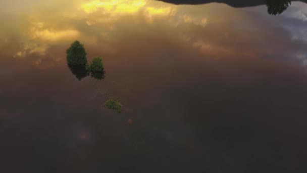 Piękny Charakter Lotu Ptaka Widok Bagniste Jezioro Drzew Kolorowe Odbicie — Wideo stockowe
