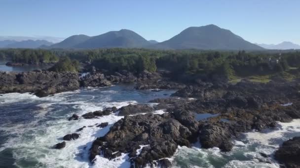 晴れた青い空の夏の日の間に太平洋の美しい海岸の眺め トフィーノとユキュレットにあるバンクーバー島 ブリティッシュ コロンビア州 カナダの近くに撮影したビデオ — ストック動画
