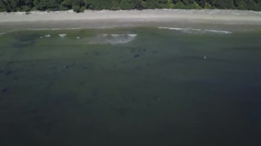 Pasifik Okyanusu güzel kıyısında yaz gün doğumu sırasında hava görünümünü. Estevan ve Ucluelet Vancouver Adası, British Columbia, Kanada yakın çekilen video.