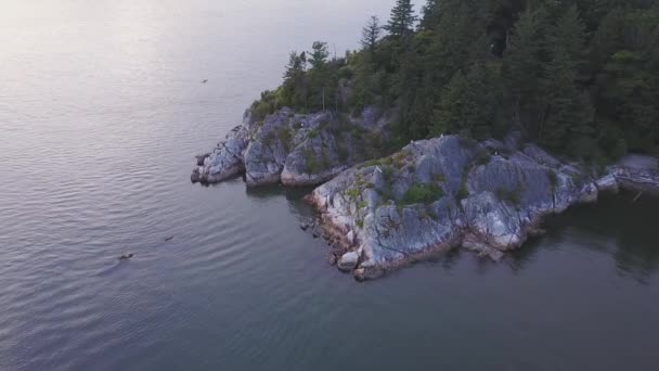 Vista Aerea Sulla Bellissima Riva Rocciosa Durante Tramonto Colorato Video — Video Stock