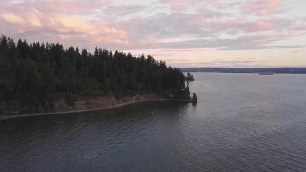 Vista Aérea Famosa Siwash Rock Stanley Park Vancouver Columbia Británica — Vídeo de stock