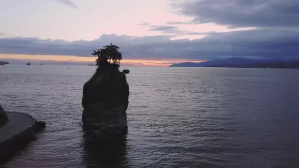 Ünlü Siwash Rock Stanley Park Vancouver British Columbia Kanada Hava — Stok video