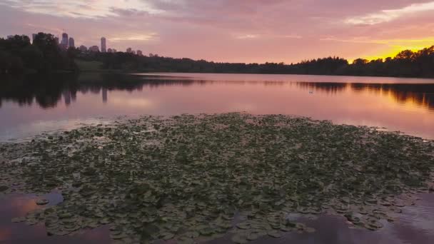 Beautiful Aerial Footage Lake City Park Colorful Vibrant Sunset Red — Stock Video