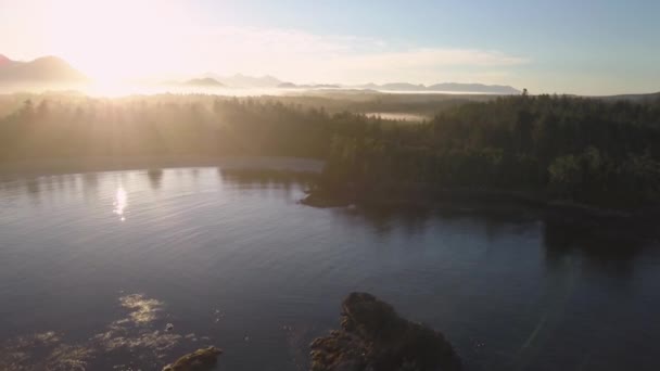 Luftaufnahme Der Wunderschönen Naturlandschaft Von Howe Sound Umgeben Von Bergen — Stockvideo