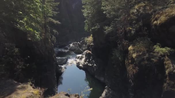 Aerial Drone Footage Beautiful River Running Rocky Canyon Canadian Landscape — Stock Video